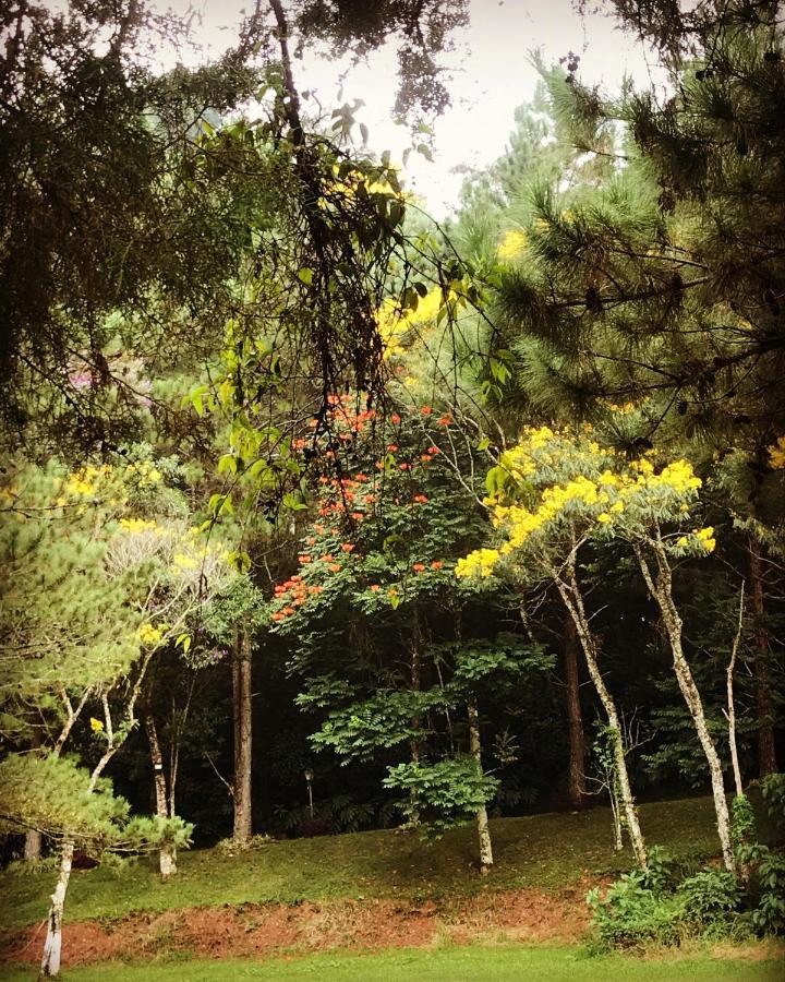 Отель Pinheiros Do Rocio Арарас Экстерьер фото